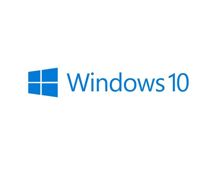 WINDOWS 10 PRO 64 BITS OEM